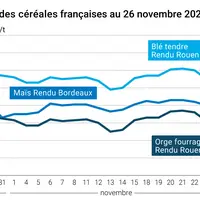 Graphique cours céréales françaises au 26 novembre 2024