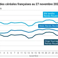Graphique cours céréales françaises au 27 novembre 2024