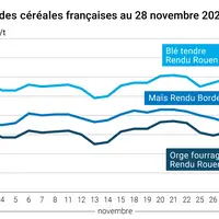 Graphique cours céréales françaises au 28 novembre 2024