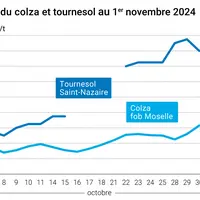 Graphique cours oléagineux français au 1er novembre 2024