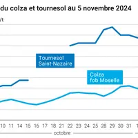 Graphique cours oléagineux françaises au 5 novembre 2024