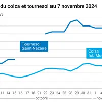 Graphique cours oléagineux français du 7 novembre 2024