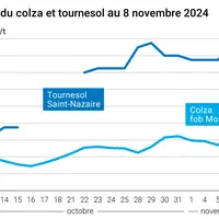 Graphique cours oléagineux français du 8 novembre 2024
