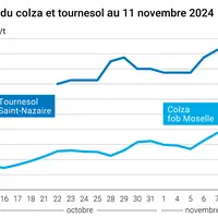 Graphique cours oléagineux français au 12 novembre 2024