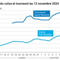 Graphique cours oléagineux français du 12 novembre 2024