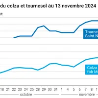 Graphique cours oléagineux françaises au 13 novembre 2024
