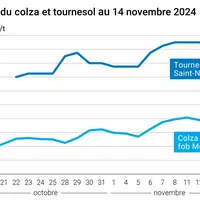 Graphique cours oléagineux françaises au 14 novembre 2024