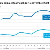 Graphique cours oléagineux françaises au 15 novembre 2024