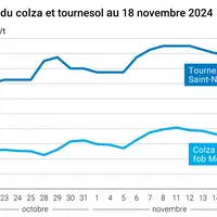 Graphique cours oléagineux françaises au 18 novembre 2024