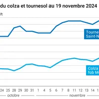 Graphique cours oléagineux françaises au 19 novembre 2024