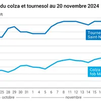Graphique cours oléagineux françaises au 20 novembre 2024