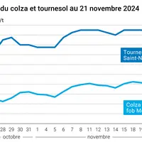 Graphique cours oléagineux françaises au 21 novembre 2024
