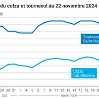 Graphique cours oléagineux françaises au 22 novembre 2024