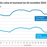 Graphique cours oléagineux françaises au 26 novembre 2024