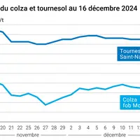 Graphique cours oléagineux français au 16 décembre 2024