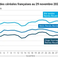 Graphique cours céréales françaises au 29 novembre 2024