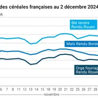 Graphique cours céréales françaises au 2 décembre 2024