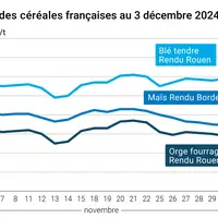 Graphique cours céréales France au 3 décembre 2024