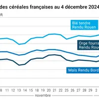 Graphique cours céréales France au 4 décembre 2024