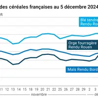 Graphique cours céréales France au 5 décembre 2024