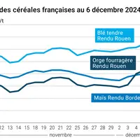 Graphique cours Céréales France au 6 décembre 2024