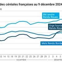 Graphique cours céréales France 9 décembre 2024