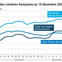 Graphique cours céréales France 10 décembre 2024