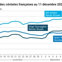 Graphique cours céréales France 11 décembre 2024