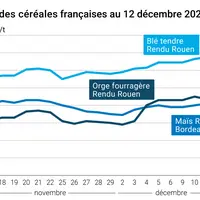 Graphique cours céréales France 12 décembre 2024