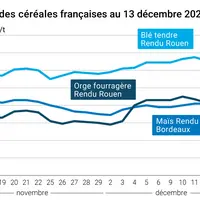 Graphique cours céréales françaises au 13 décembre 2024