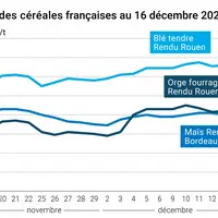 Graphique cours céréales françaises au 16 décembre 2024