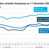 Graphique cours céréales France au 17 décembre 2024