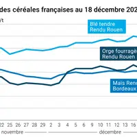 Graphique cours céréales françaises au 18 décembre 2024