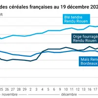 Graphique cours céréales France au 19 décembre 2024