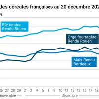 Graphique cours céréales françaises au 20 décembre 2024