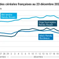 Graphique cours céréales françaises au 23 décembre 2024