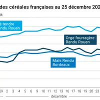 Graphique cours céréales françaises au 25 décembre 2024