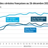 Graphique cours céréales France au 26 décembre 2024