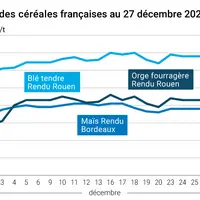 prix du blé tendre rendu Rouen, de l'orge fourragère rendu Rouen et du maïs rendu Bordeaux en juillet août 2024