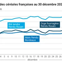 Graphique cours oléagineux France au 30 décembre 2024