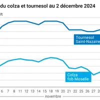 Graphique cours oléagineux français au 2 décembre 2024