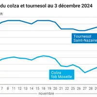Graphique cours oléagineux France au 3 décembre 2024
