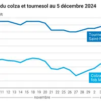 Graphique cours oléagineux France au 5 décembre 2024