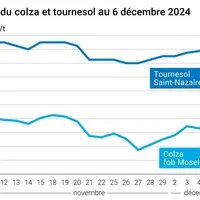 Graphique cours oléagineux France au 6 décembre 2024