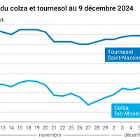 Graphique cours oléagineux France au 9 décembre 2024
