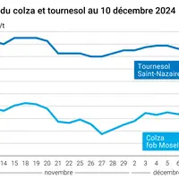 Graphique cours oléagineux France 10 décembre 2024