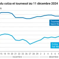 Graphique cours oléagineux France 11 décembre 2024
