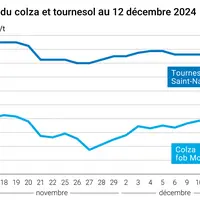 Graphique cours oléagineux France 12 décembre 2024