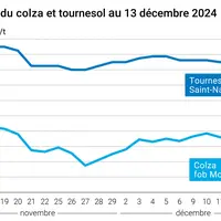 Graphique cours oléagineux français au 13 décembre 2024