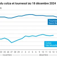 Graphique cours oléagineux français au 18 décembre 2024